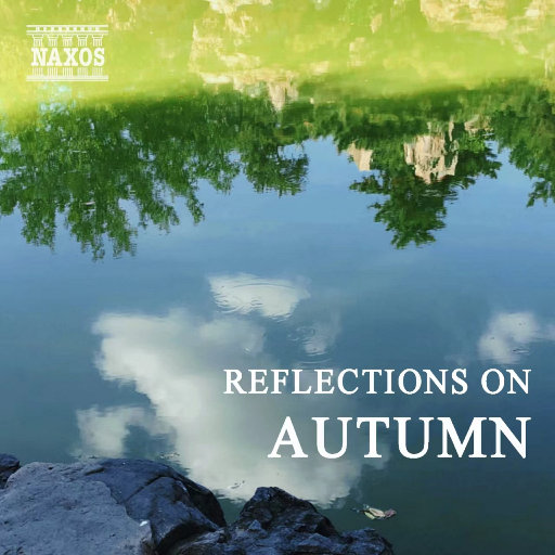 少妇熟女人妻高清无码精品免费视频
